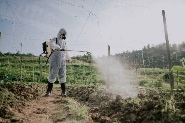 Best Pest Prevention Services  in Foster Brook, PA