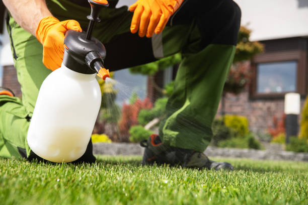 Best Pest Control Near Me  in Foster Brook, PA