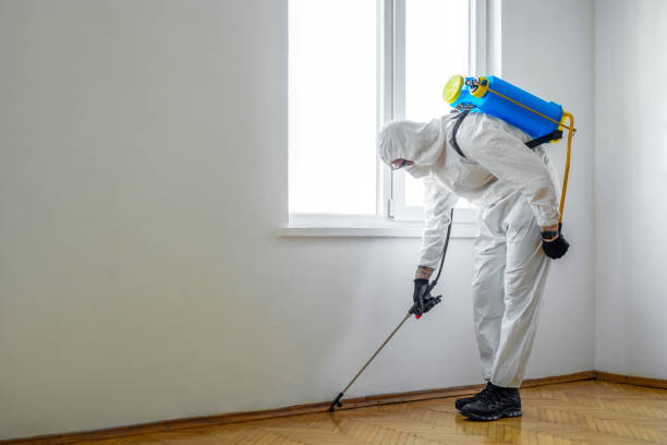 Best Rat Extermination Near Me  in Foster Brook, PA