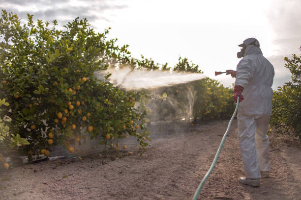 Trusted Foster Brook, PA Pest Control Experts