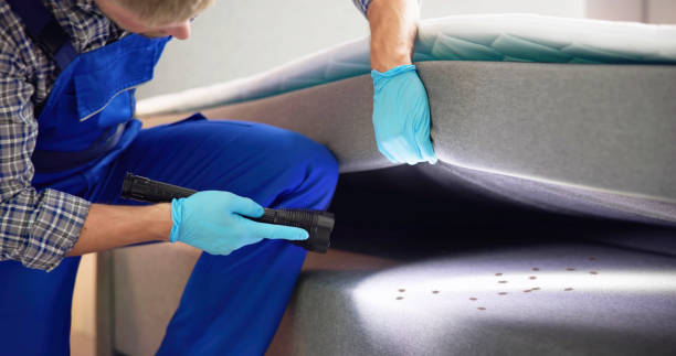 Best Bed Bug Extermination  in Foster Brook, PA