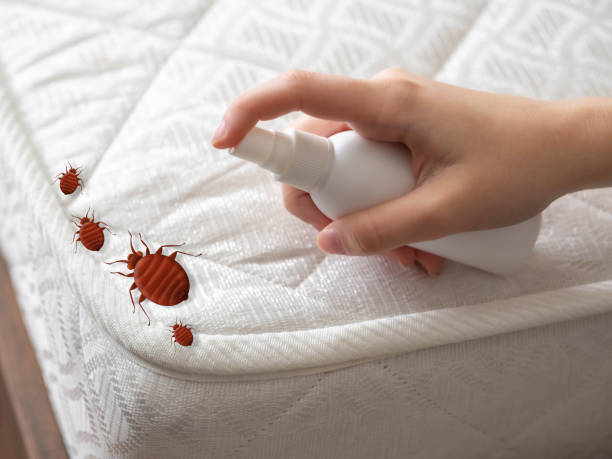 Best Pest Removal Services  in Foster Brook, PA