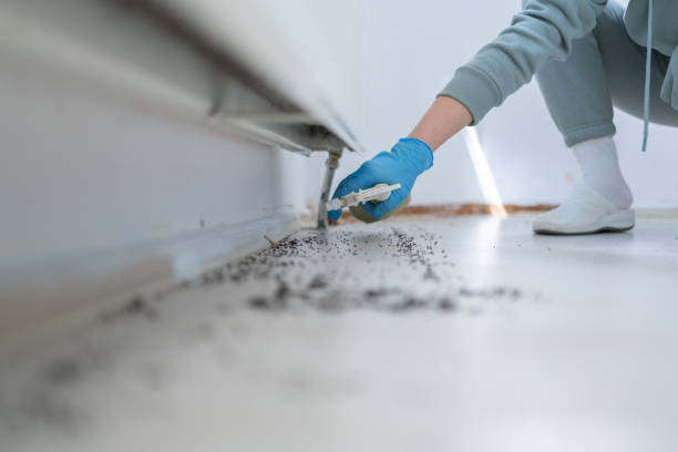 Best Cockroach Control Services  in Foster Brook, PA